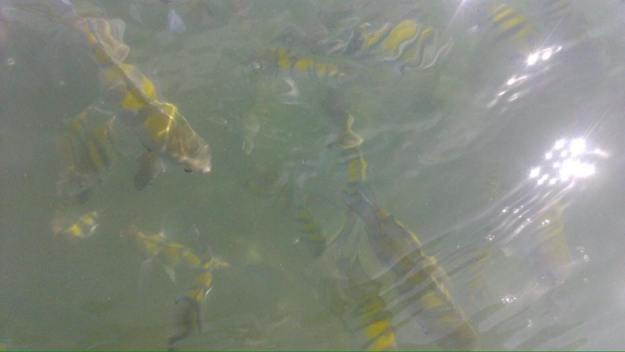 Chale Cantinho Albamar Ubatuba Dış mekan fotoğraf
